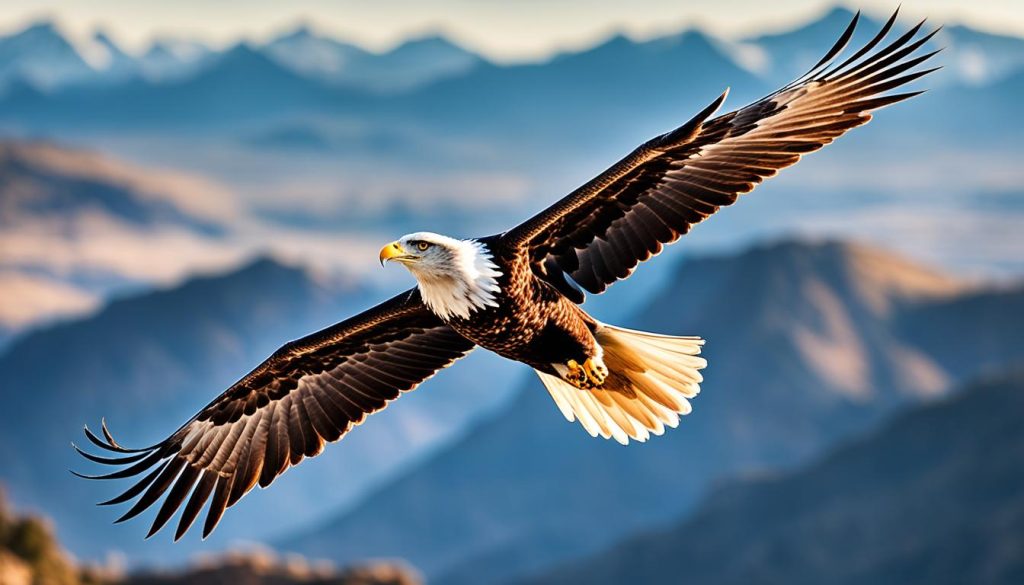 Eagle soaring as spiritual guide