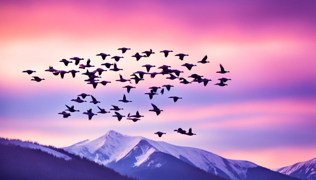 Spiritual Significance of Geese Imagery