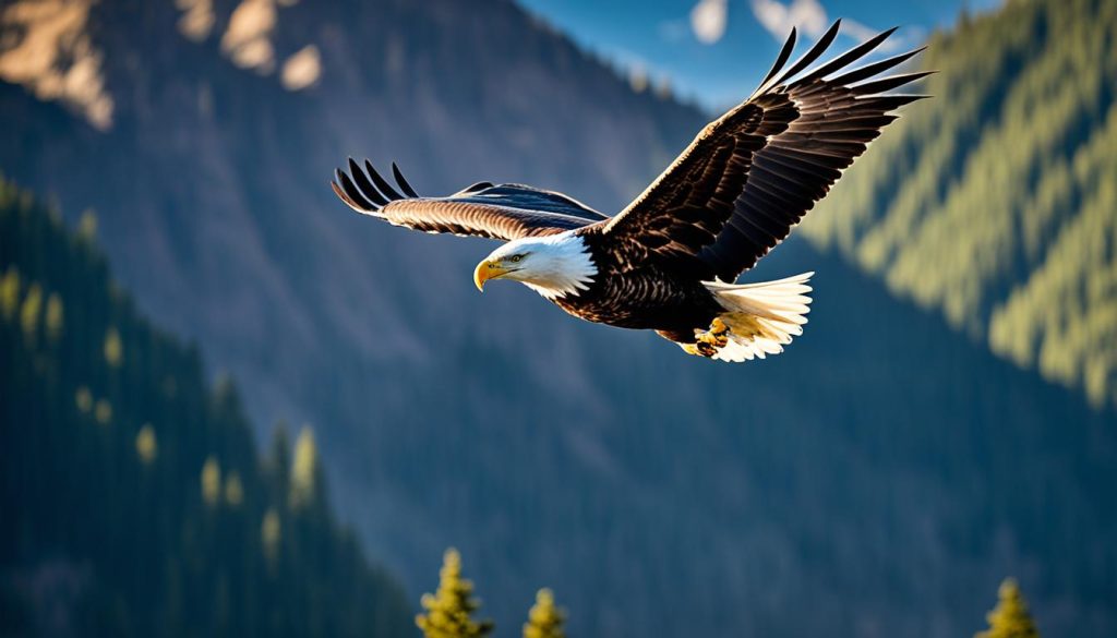 bald eagles as symbols