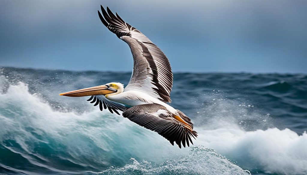 spiritual significance of pelican encounters