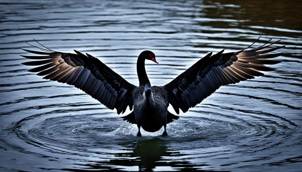 black swan spiritual meaning