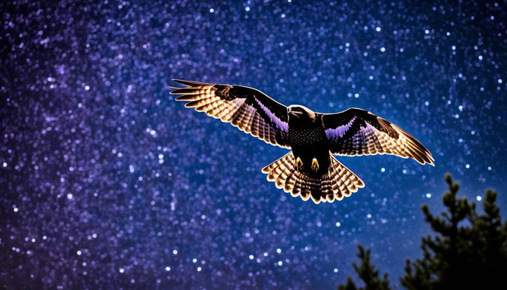 nighthawk symbolism